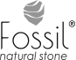 Fossil