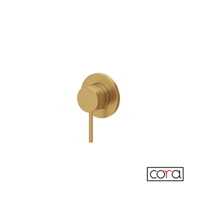Cosmo PVD Gold Brushed Inox 316L 1-Way Built-In Mixer