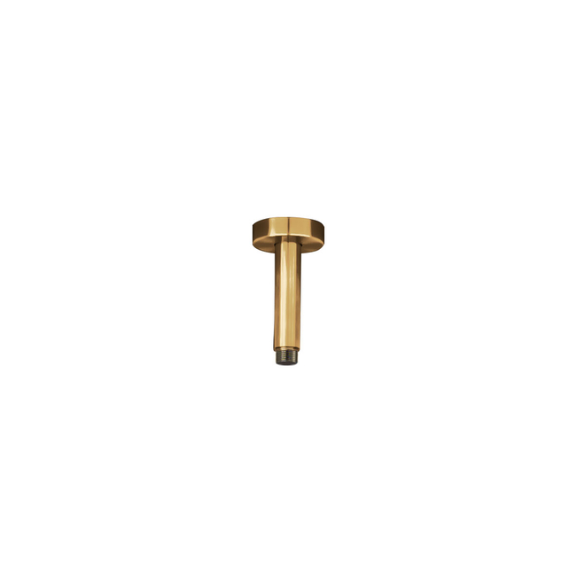 Βραχίονας Οροφής Στρογγυλός 10εκ. AISI316 Inox PVD Brushed Gold