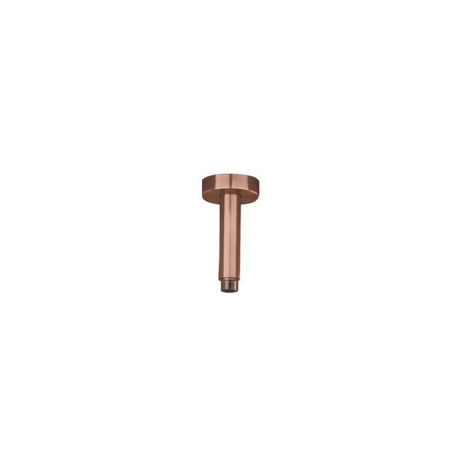 Βραχίονας Οροφής Στρογγυλός 10εκ. AISI316 Inox PVD Rose-Gold